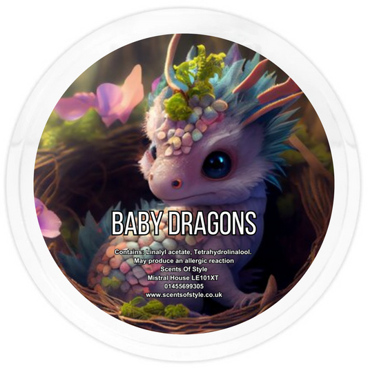 Baby Dragons 2oz Segment Pot